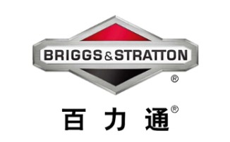 Briggs & Stratton Briggs & Stratton